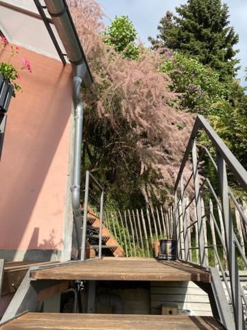Alte Schlosserei Leistadt Bad Dürkheim Exteriér fotografie